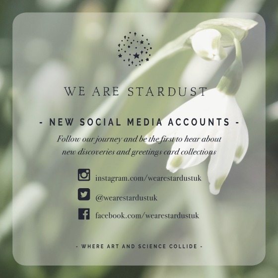 Follow we are stardust online
