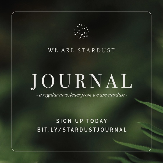 We are stardust promo